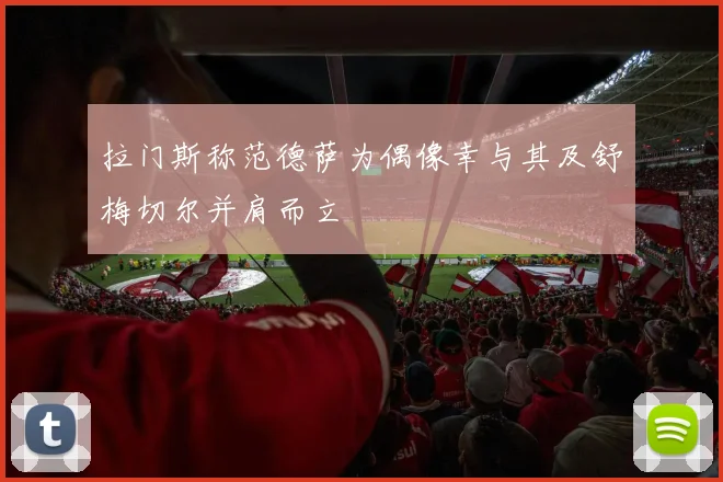 拉门斯称范德萨为偶像幸与其及舒梅切尔并肩而立