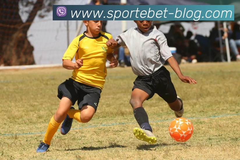 易倍体育APP 封面图